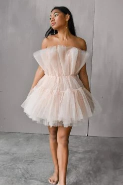 Confête Clothing Alizee Tulle Mini Dress - Nude