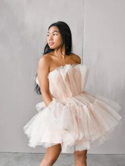 Confête Clothing Alizee Tulle Mini Dress - Nude